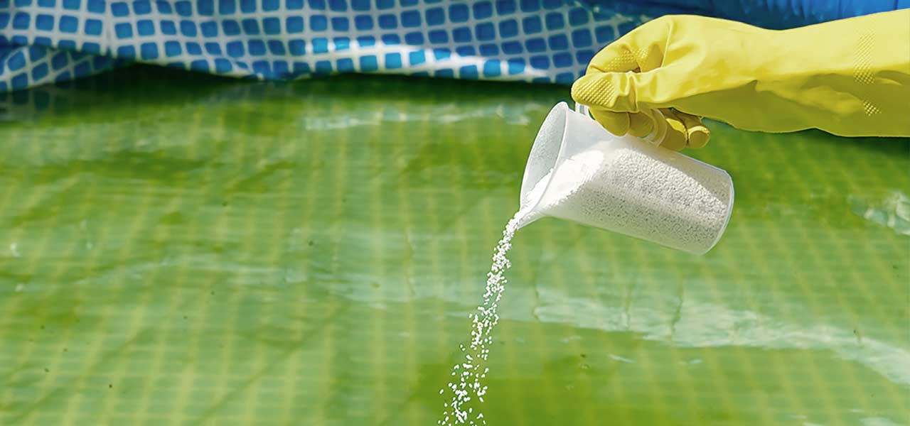 How to remove dead algae from the pool without a vacuum? - The Pool Mania