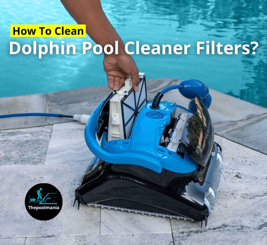 How To Clean Dolphin Pool Cleaner Filters?