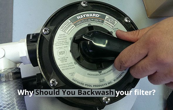 Why Should You Backwash your filter